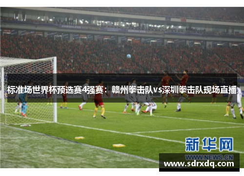 标准场世界杯预选赛4强赛：赣州拳击队vs深圳拳击队现场直播